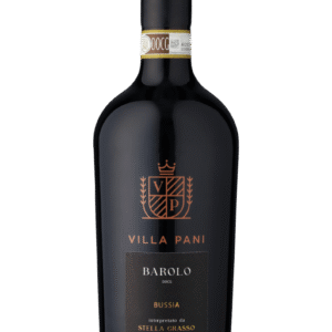 Villa Pani Barolo Bussia