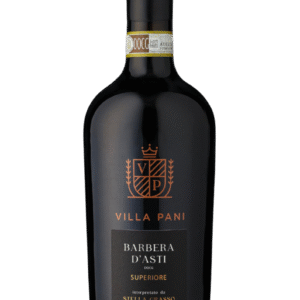 Villa Pani Barbera D'Asti Superior